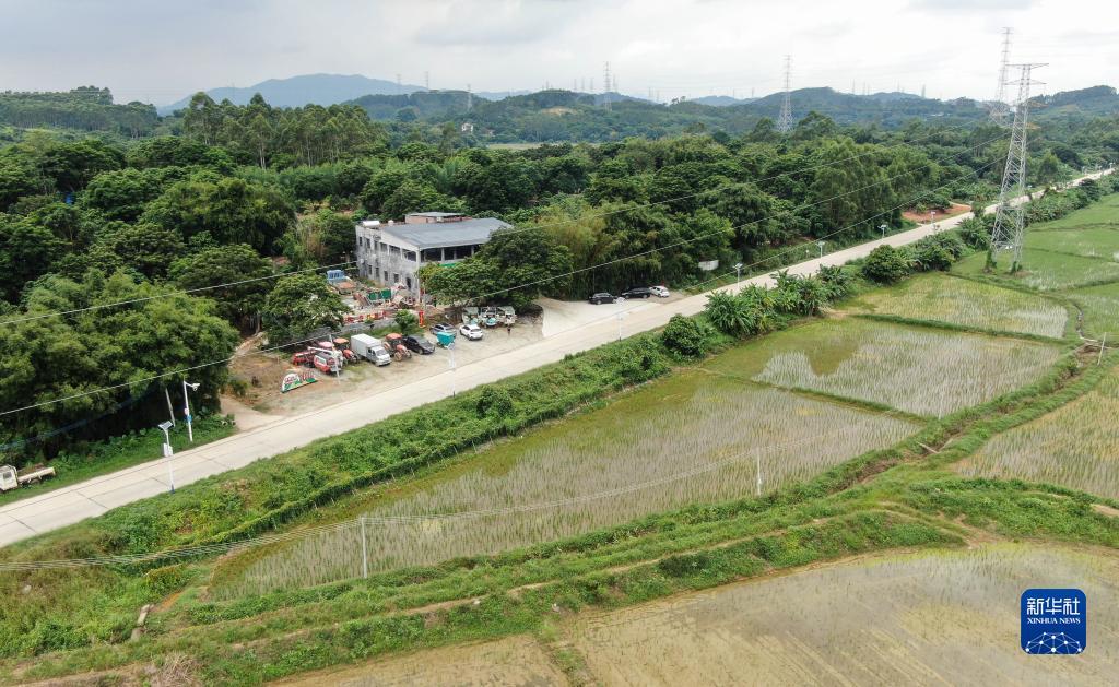 小美斗地主官网版
