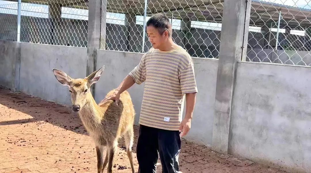 澳门赌博场网址大全